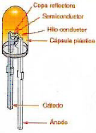 Interno della microserra